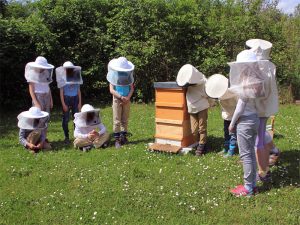 Praxisunterricht im Kurs Bienenhaltung an der Grundschule am Pfaffenberg